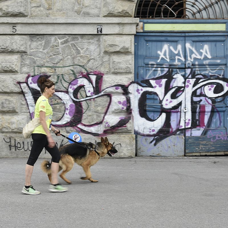 Walking with my dog (23).JPG